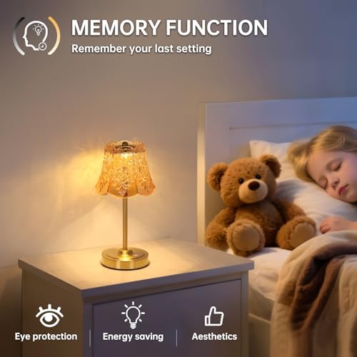 Shenmoyl Set of 2 Cordless Touch Table Lamp with 5200mAh Battery - 3 Adjustable Color Temperatures & Dimmable, Rechargeable Lamp for Bedsides, Living Room, Entryway, Bookshelves (Amber Rose)