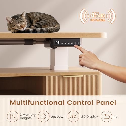 SEDETA Fluted L Shaped Executive Electric Standing Desk with 4 Drawers