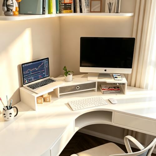 LAPTAIN Dual Monitor Stand Riser with Drawer, Adjustable Desk Organizer
