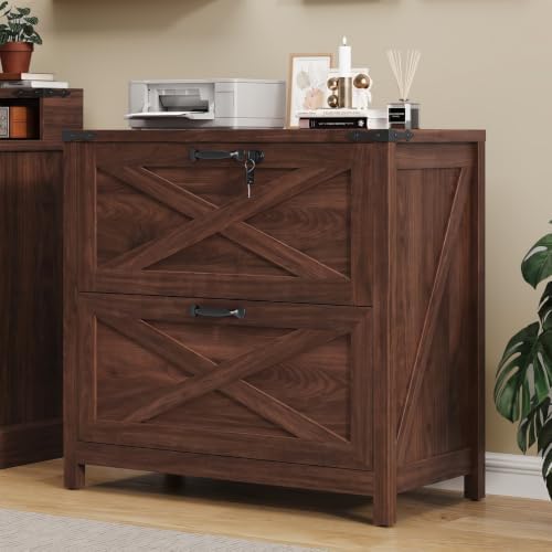 Halitaa Farmhouse Lateral File Cabinet with 2 Drawers, Walnut