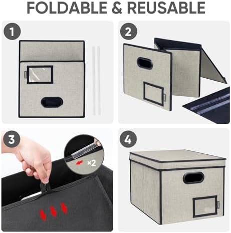 BALEINE File Organizer Box with Lid, Collapsible Hanging File Storage Box