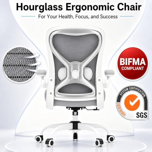 Ergonomic Home Office Chair, 4-Way Lumbar, Thick Cushion, 330LBS (Gray/Finish Silver)