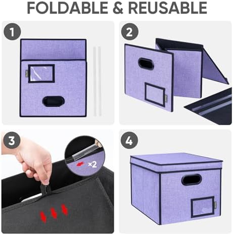 BALEINE File Organizer Box with Lid, Collapsible Hanging File Storage Box