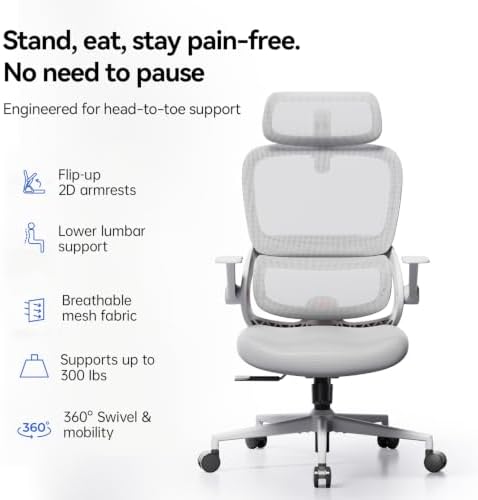 SIHOO B100 SE Ergonomic Mesh Office Chair, Desk Chair with Lumbar Support