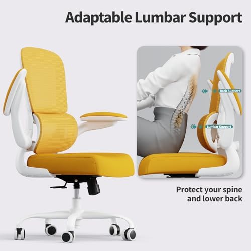 TRALT Office Chair - Ergonomic Desk Chair with Adjustable Lumbar Support, Mesh Computer Chair, Executive Chair for Home Office Comfortable Lumbar Support (1, White Yellow)