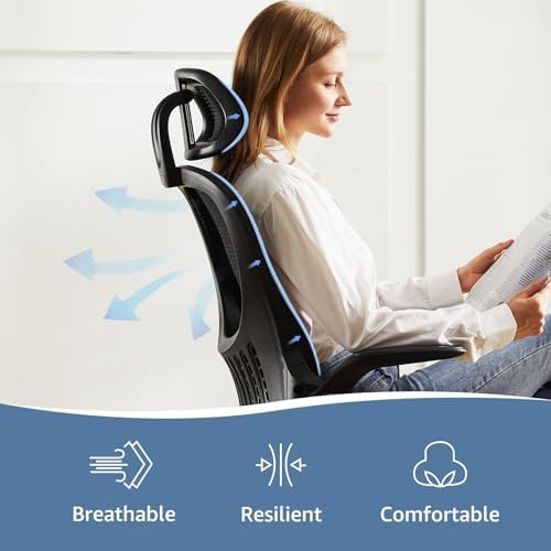 DUMOS Ergonomic Office Chair, Desk Computer Chair, Lumbar Support