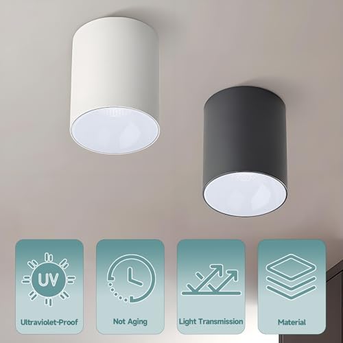 Lamp Shade Diffuser Cover 5.86" Round Lampshade Diffuser Ceiling Light Anti-Dazzling Lampshade Replacement for Barrel Lamp Shade (4PCS)