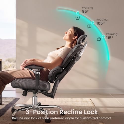 SEDETA S100 Ergonomic Office Chair with Lumbar Support, 6D Armrests, Black