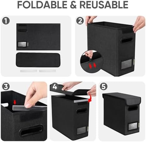 BALEINE File Organizer Box with Lid, Collapsible Hanging File Storage Box