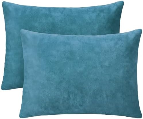 1 MIDDLE ONE 2 Pack Small Pillow, 16 X 12 Inches, Memory Foam Mini Pillow for Travel, Camping, Sleeping, Nap and Neck, Knee, Lumbar Support, Tiny Cushion for Pet, Dogs (Lake Blue)