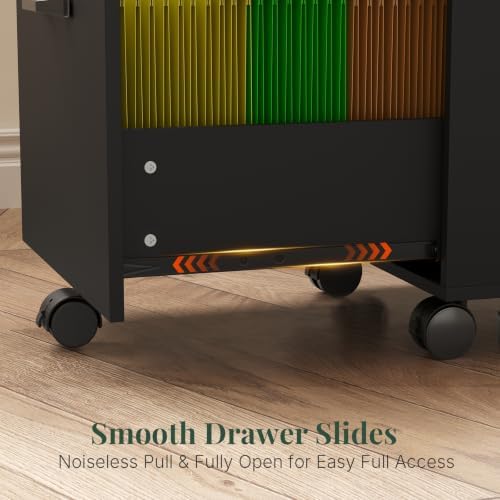 2 Drawer Rolling File Cabinet with Wood Printer Stand