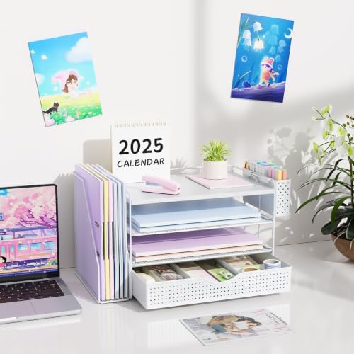 Wood Desk Organizers and Accessories with File Holder & Catalog Racks