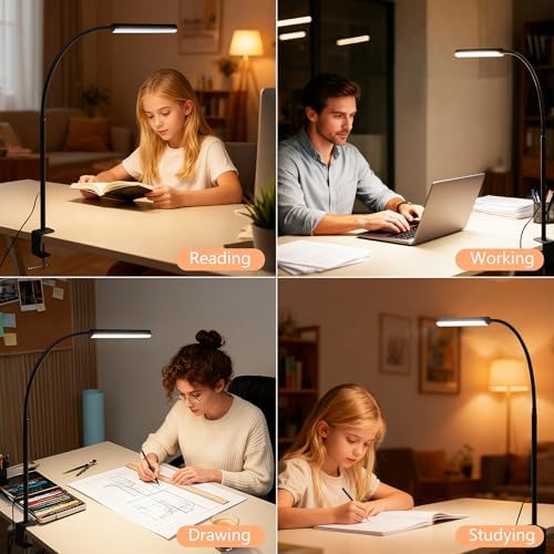 LED Desk Lamp for Office Home, Adjustable Flexible Eye-Caring Desk Light with,5 Modes 10 Brightness Adjustment, USB Adapter Desk Lamp with Clamp-MINI-B