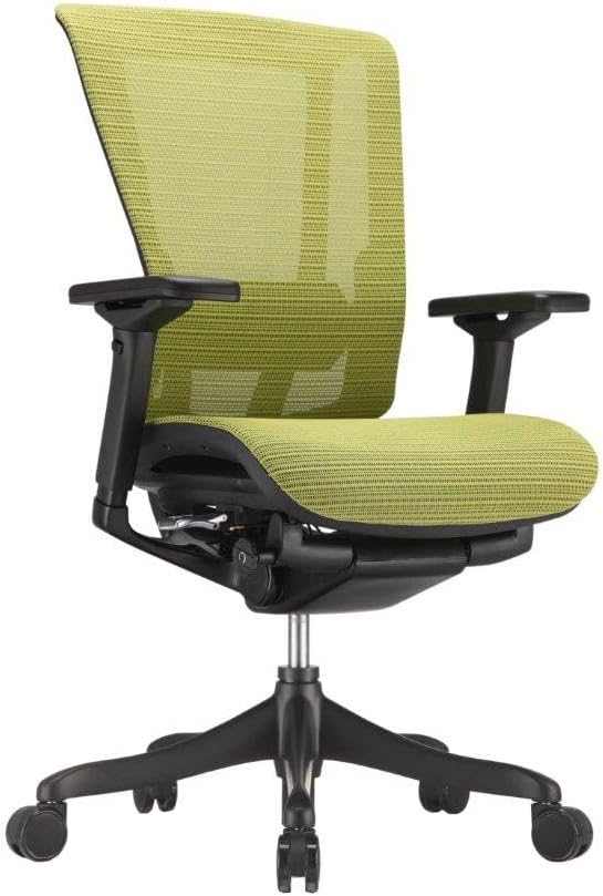 Raynor Nefil Elite Smart Motion Mesh Office Chair - Green - Modern Style - Mesh Back - Adjustable Arm - Ergonomic - Metal Frame - 44" Seat Height, 26" Seat Depth