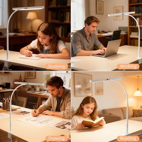LED Desk Lamp for Office Home, Adjustable Flexible Eye-Caring Desk Light with,5 Modes 10 Brightness Adjustment, USB Adapter Desk Lamp with Clamp-T-W