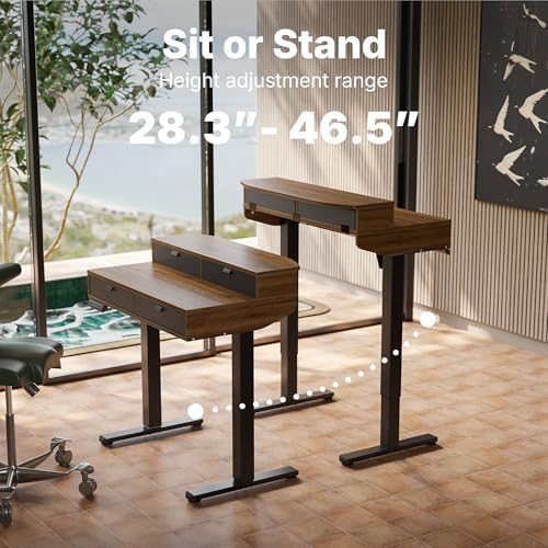 HUANUO 32 x 20 Inch Electric Standing Desk with 4 Drawers, Walnut