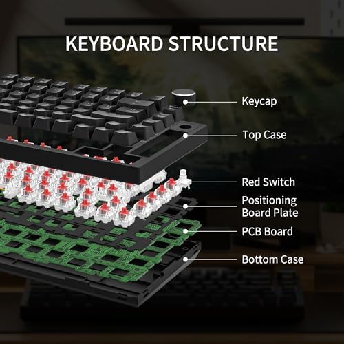 Newmen GM326 Mechanical Keyboard,75% Percent Gaming Keyboard,Wired Keyboard
