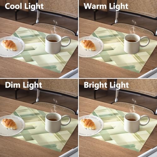 Sophisticated Contemporary Aesthetic Linen Placemats, Subtle Shading Refined Look Table Mats for Table Washable Heat Insulation Thick Dining Mat, Indoor/Outdoor 12X18 in 4 Pcs