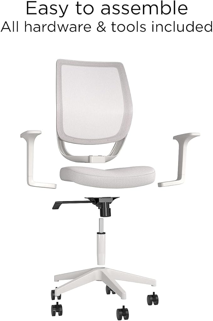 Staples Ergonomic Task Chair, Mesh, Gray