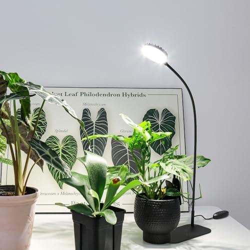 Desktop Plant Grow Light,12w Growing Lamps High Ppfd,Full Spectrum Desk Growth Light with Automatic Timer,4 Dimmable Levels(Black)