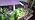 LBW Grow Light for Indoor Plants, Full Spectrum Desk LED Plant Light