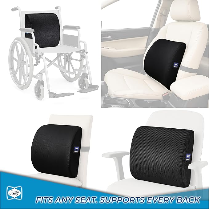 Sealy Lumbar Support Pillow for Office Chair and Car Seat - Lower Back Pain Relief, Memory Foam Lumbar Pillow & Back Brace Support Posture Corrector