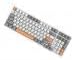 predolo Russian Mechanical Gaming Keyboard 100 Keys, Ergonomics,RGB, Backlit, USB Wired Plug and Play Durable Portable 98% Allocation for PC Laptop, Style E