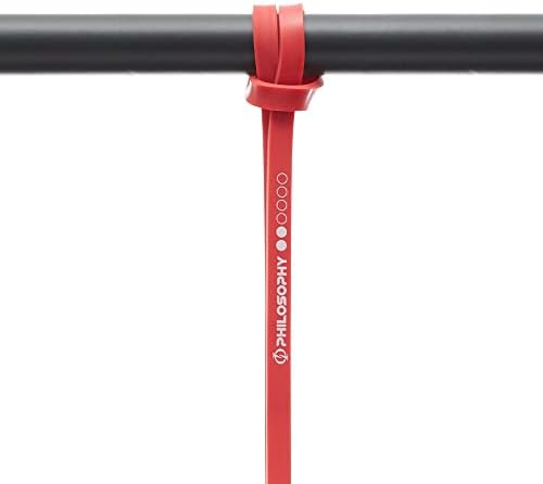 Philosophy Gym Pull Up Assist Band - Resistance Power Loop Exercise Band