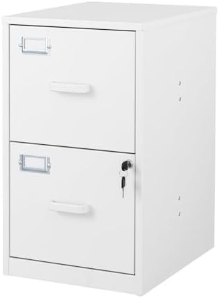 BYNSOE 2 Drawer File Cabinet with Lock Vertical Filing Storage Office Home Steel Vertical File Cabinets for Letter Size File Cabinet Locked,Assembly Required