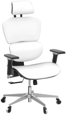 Oline ErgoPro Ergonomic Office Chair with 4D Adjustable Armrest, 3D Lumbar Support and Blade Wheels - Mesh Computer Gaming Rolling Desk Executive Swivel Home Chair (White)