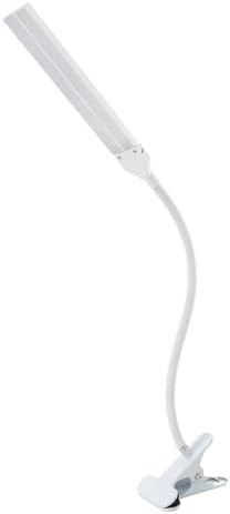 LED Desk Lamp with Double Heads for Eye Care and Dimming Options for Student and Office Use Adjustable Lamp with USB Power Supply (White)
