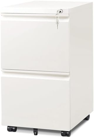 DEVAISE 2 Drawer File Cabinet with Lock for Home Office, Fully Assembled