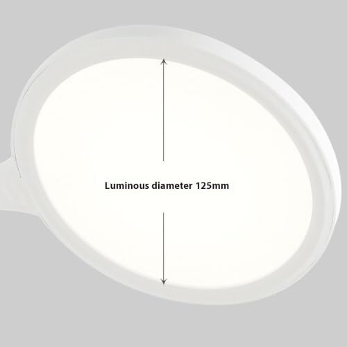 Full Spectrum Eye-Care Desk Lamp for Study and Office with Adjustable Angle 5-Level Touch Dimming Timer Function