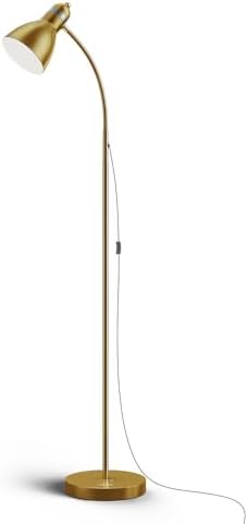 LEPOWER Floor Lamp, Metal Standing Lamp with Adjustable Gooseneck for Dorm