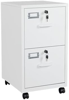 BYNSOE 2 Drawers File Cabinet with Lock Metal Vertical File Cabient with Wheels Mobile File Cabinet for Office Home Legal/Letter/a4 Size Require Assembly