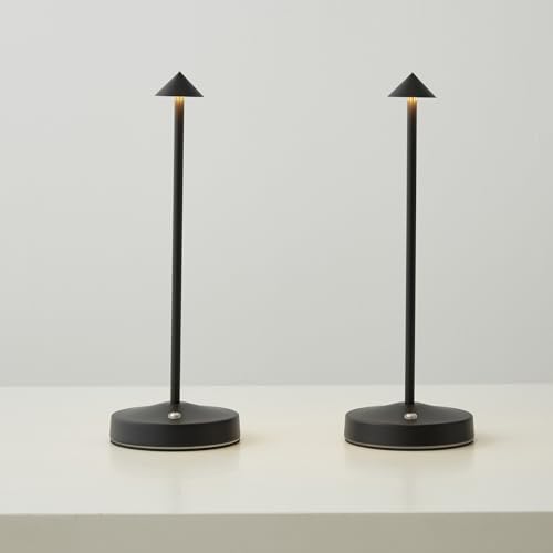 2 PACK Cordless Lamps,Battery Rechargeable Table Lamp,Portable Lamps,2 Level Brightness Dimmable Night Light,Minimalist Design, Cordless Table Lamps for Living Room/Restaurant/Couple Dinner(Black)
