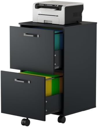 2 Drawer Rolling File Cabinet with Wood Printer Stand