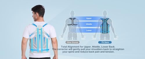 Back Brace Posture Corrector for Women and Men, Shoulder Straightener, Adjustable Full Back Support, Relief for Neck/Shoulder/Back Pain, Scoliosis & Hunchback Correction, Breathable Mesh Design (Gray, Medium/Large (Waist 33"-40"))