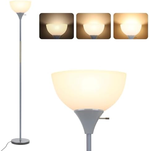 LALISU Floor Lamp, LED Standing Lamp 3 Way Dimmable Brightness Floor Lamp