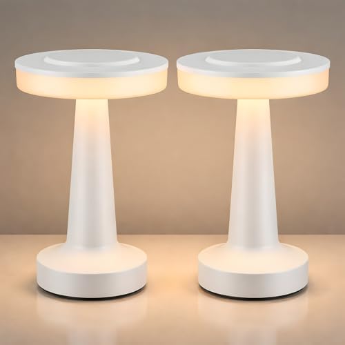 Riakrum 2 Pcs LED Cordless Table Lamp Bulk Rechargeable,White