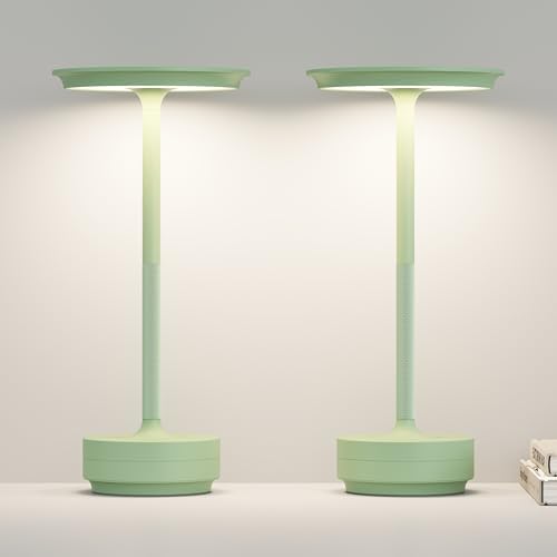 Cordless Rechargeable Table Lamps,Portable Battery Desk Lamp