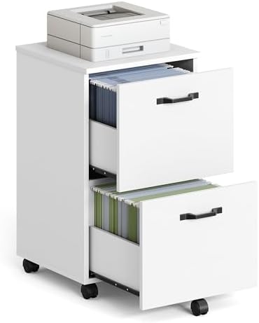 VASAGLE 2-Drawer File Cabinet, Small Rolling Filing Cabinet