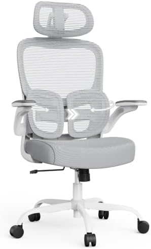 Ergonomic Office Desk Chair, Adjustable Dual Lumbar Support & Thick Seat