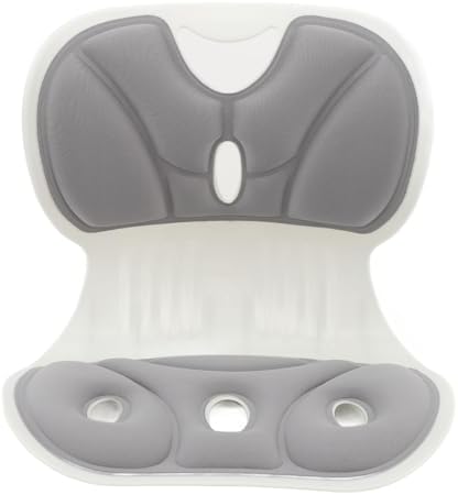 Lumbar Support Posture Corrector Chair for Adults,Back and Lumbar Support Breathable Fabric Petal Shaped Office Chair Seating Cushion,Ergonomic Back Supports Chairs for Office