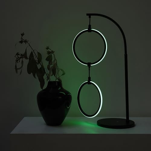 Brightech 2 Ring Lamp - 24" RGB Color Changing LED Table Lamp with 2 Hanging Rings, Modern Arc Bedside Desk Lamp for Bedroom and Living Room, USB-C Charging Port, Black
