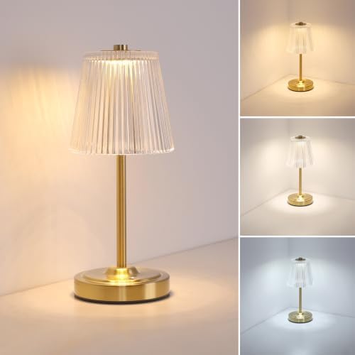 Shenmoyl Cordless Touch Table Lamp with 5200mAh Battery - 3 Adjustable Color Temperatures & Dimmable, Rechargeable Lamp for Bedroom, Living Room, Office, Entryway, Bookshelves (Transparent Stripe)