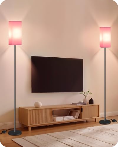 2 Pack Floor Lamp, Pole Lamp with Foot Switch, Modern Standing Lampshade, Minimalist Freestanding Lamp (Bulb Not Included), for Living Room, Bedroom Office, Black and Pink P07LDP205