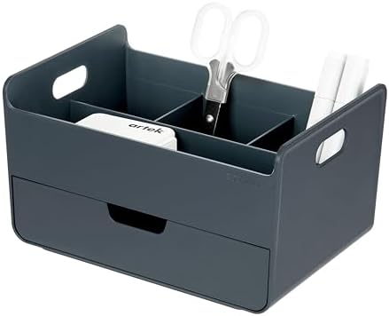 BLUE GINKGO Portable Desk Organizer, Blue, Made in Korea