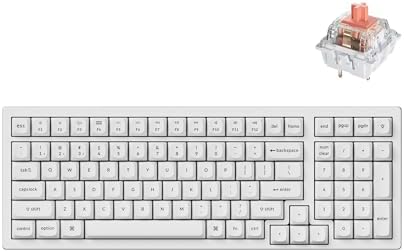 Keychron K4 Pro QMK/VIA Custom Wireless Mechanical Keyboard, Programmable Hot-swappable 100 Keys, RGB Backlight Wired Gaming Keyboard with K Pro Silent Red Switches for Mac/Windows/Linux - White