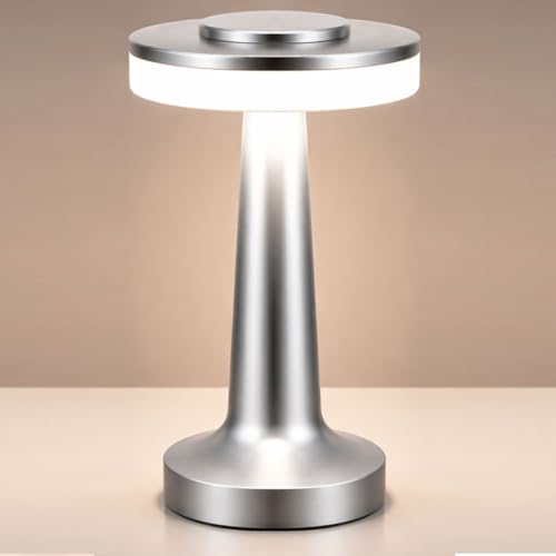 Riakrum 1 Pcs LED Cordless Table Lamp Bulk Rechargeable,Silver
